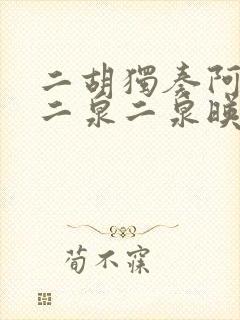 二胡独奏阿炳的二泉二泉映月