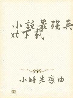 小说最强兵王txt下载