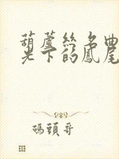 葫芦丝名曲《月光下的凤尾竹》