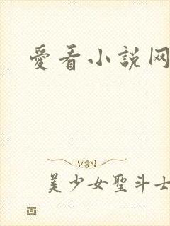 爱看小说网
