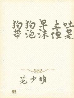 狗狗早上吐黄水带泡沫但是精神很好