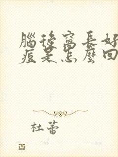 脑后窝长好多痘痘是怎么回事