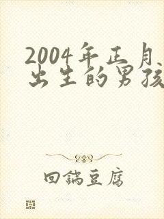 2004年正月出生的男孩命运