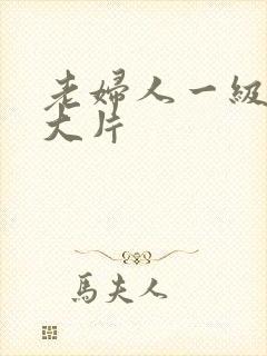 老妇人一级特黄大片