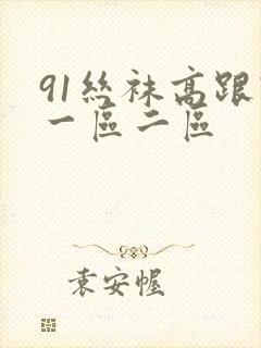 91丝袜高跟鞋一区二区