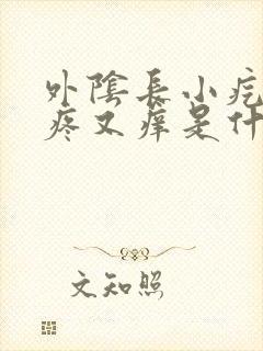 外阴长小疙瘩又疼又痒是什么