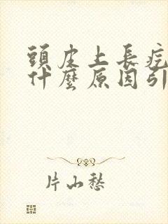 头皮上长疙瘩是什么原因引起的封面