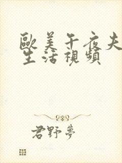 欧美午夜夫妻性生活视频