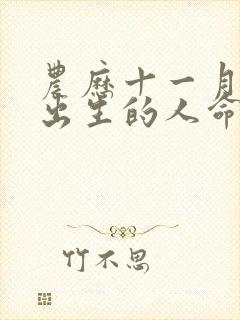 农历十一月十一出生的人命运