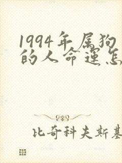 1994年属狗的人命运怎么样