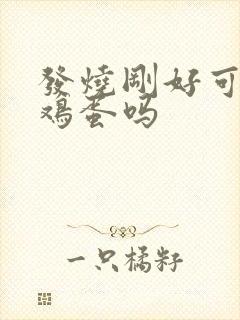 发烧刚好可以吃鸡蛋吗