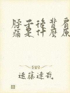 脖子后背肩膀疼痛是什么原因