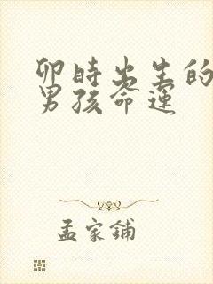 卯时出生的属鼠男孩命运