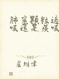 肺宁颗粒适合干咳还是痰咳