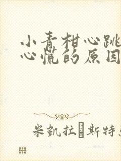 小青柑心跳加速心慌的原因封面