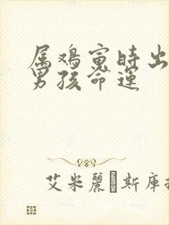 属鸡寅时出生的男孩命运