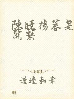 陈晓杨蓉是什么关系