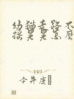 幼猫走路不稳摇摇晃晃怎么回事儿封面