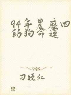 94年农历四月的狗命运封面