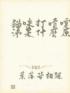 猫咪打喷嚏流鼻涕是什么原因