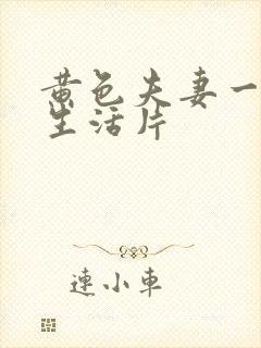 黄色夫妻一级性生活片