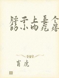 脖子上长个白色的小肉疙瘩