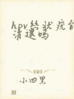 hpv丝状疣能消退吗