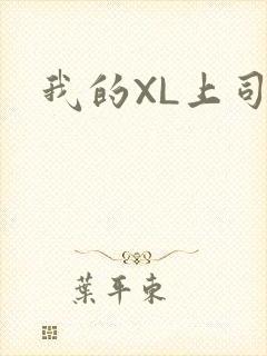 我的XL上司