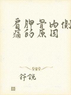 肩胛骨内侧缘酸痛的原因