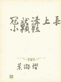 冠状沟上长一圈小颗粒