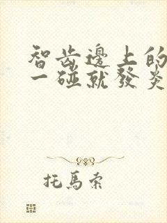 智齿边上的牙龈一碰就发炎