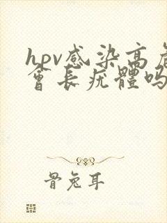 hpv感染高危会长疣体吗