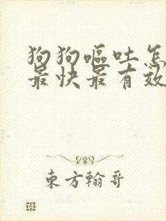 狗狗呕吐怎么办最快最有效的方法