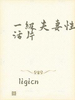 一级夫妻性感生活片封面