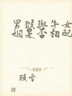 男猴与牛女的婚姻是否相配