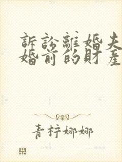 诉讼离婚夫妻结婚前的财产怎么分