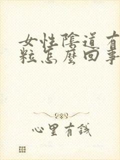 女性阴道有小肉粒怎么回事