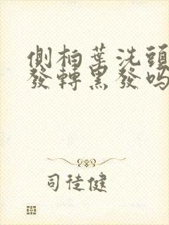 侧柏叶洗头 白发转黑发吗封面