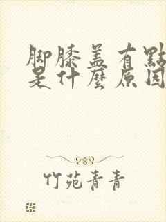 脚膝盖有点酸痛是什么原因封面