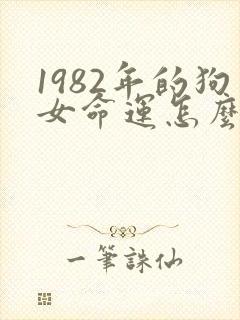 1982年的狗女命运怎么样