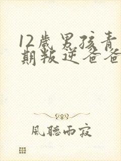 12岁男孩青春期叛逆爸爸怎么教育