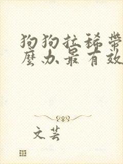 狗狗拉稀带血怎么办最有效的方法