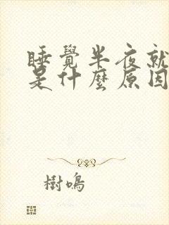 睡觉半夜就醒了是什么原因