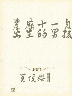 农历十一月十九出生的男孩命运