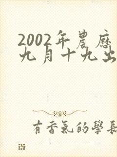 2002年农历九月十九出生的人,命运咋样封面