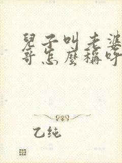 儿子叫老婆的哥哥怎么称呼封面