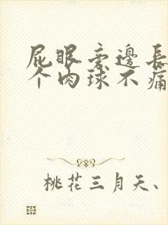 屁眼旁边长了一个肉球不痛不痒