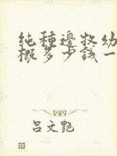 纯种边牧幼犬大概多少钱一只封面