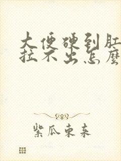 大便硬到肛门口拉不出怎么办封面