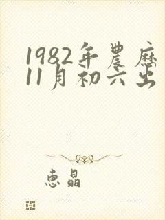 1982年农历11月初六出生的人命运封面